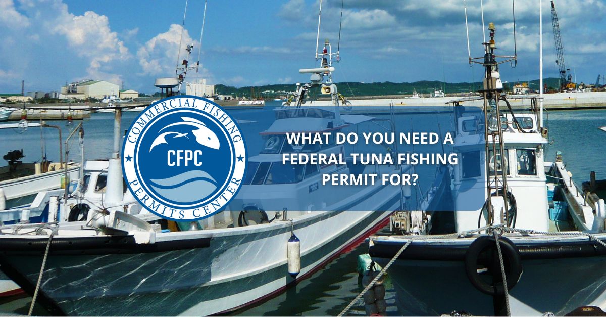 What Do You Need A Federal Tuna Fishing Permit For