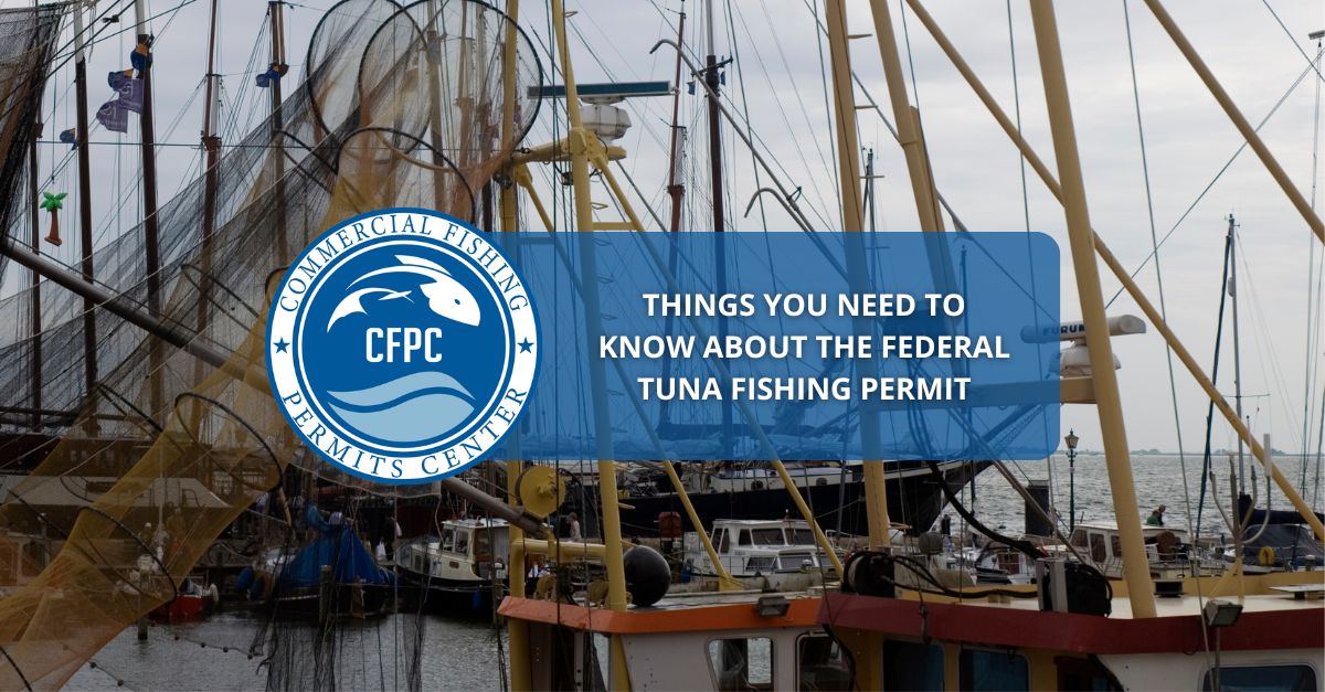 Things You Need To Know About The Federal Tuna Fishing Permit