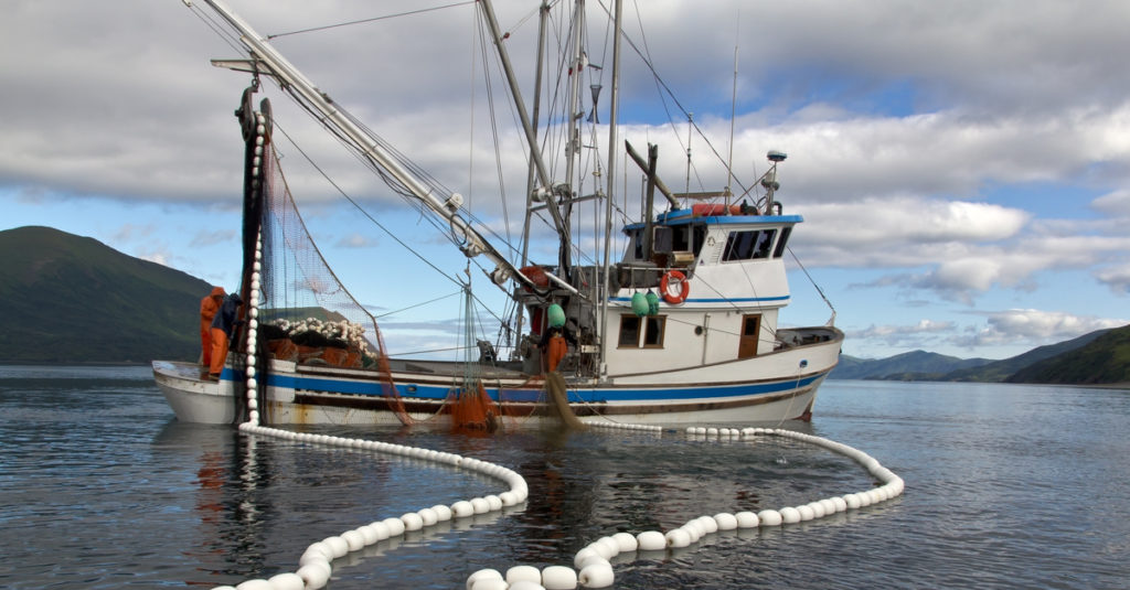 south atlantic federal commercial fishing
