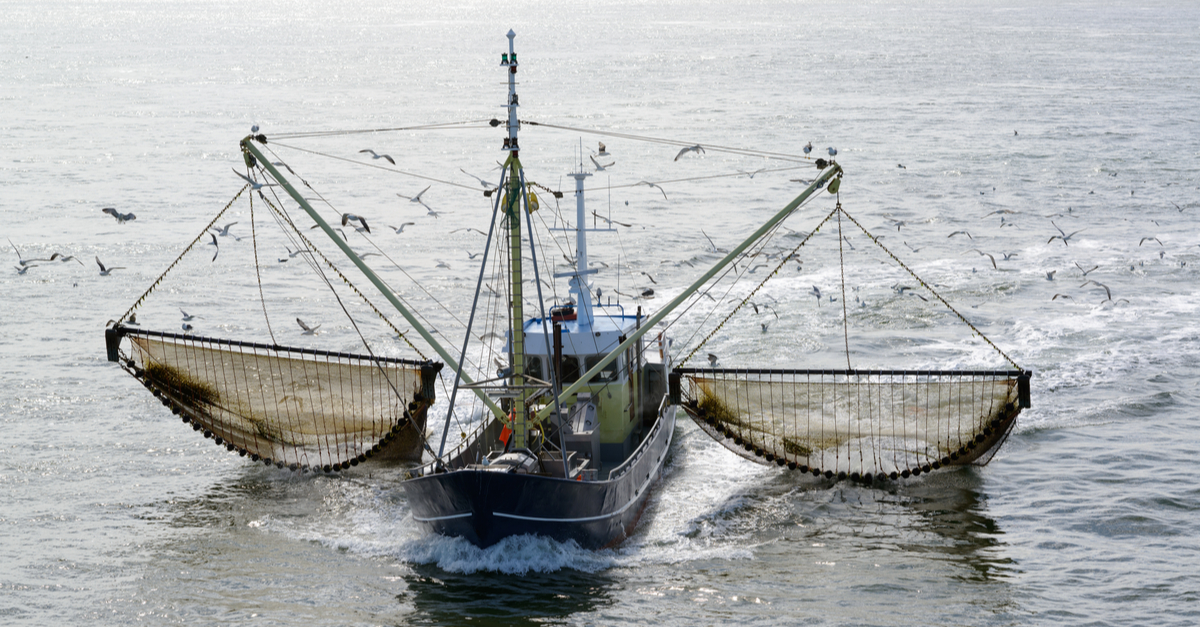 Alaska Commercial Fishing Permits Chinook Salmon Commercial Fishing