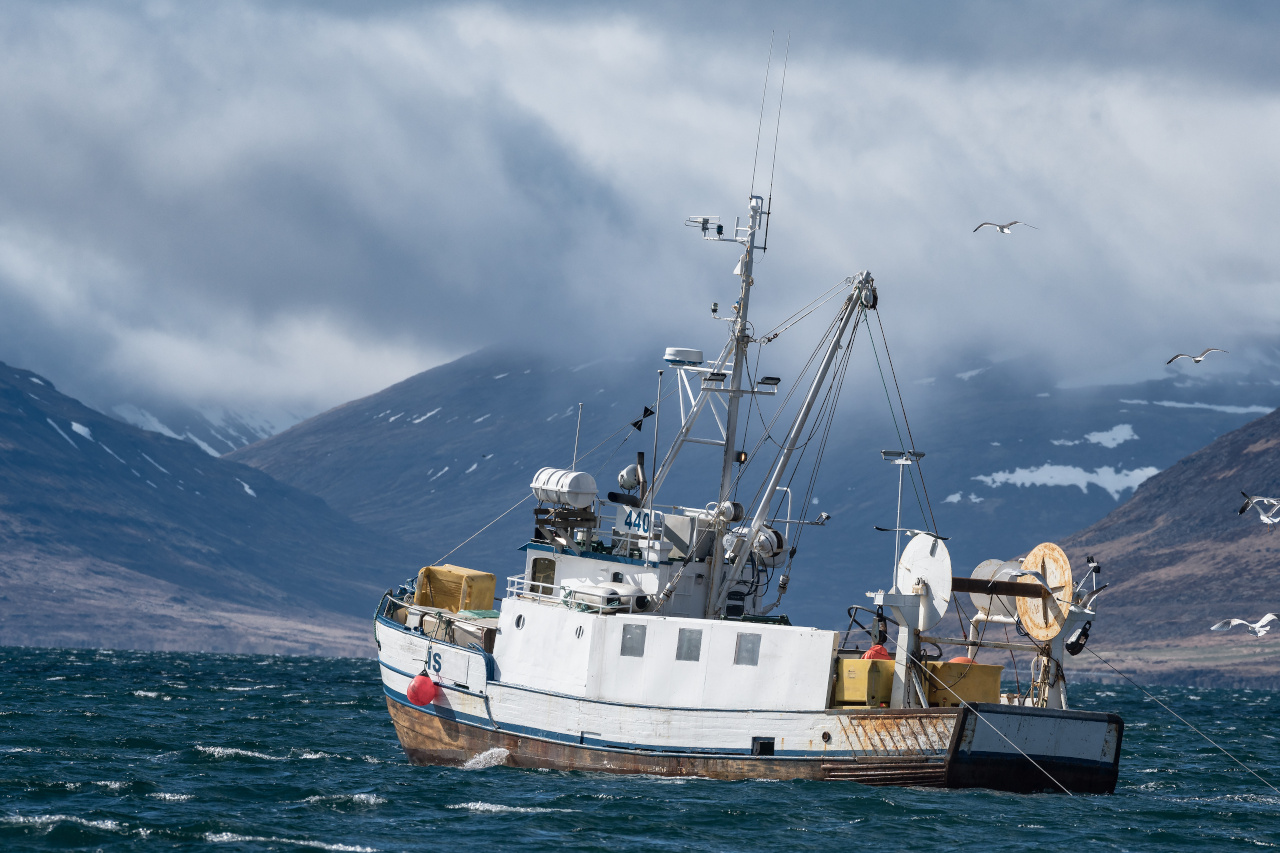 Alaska Commercial Fishing Permits The World of Weathervane Scallops
