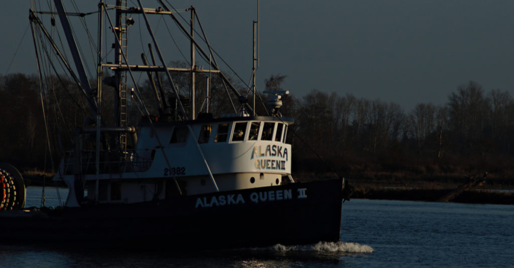 replace a federal commercial fishing permit