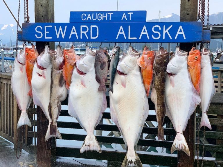 Alaska Commercial Fishing Permits for Rockfish Cooperative Fishing