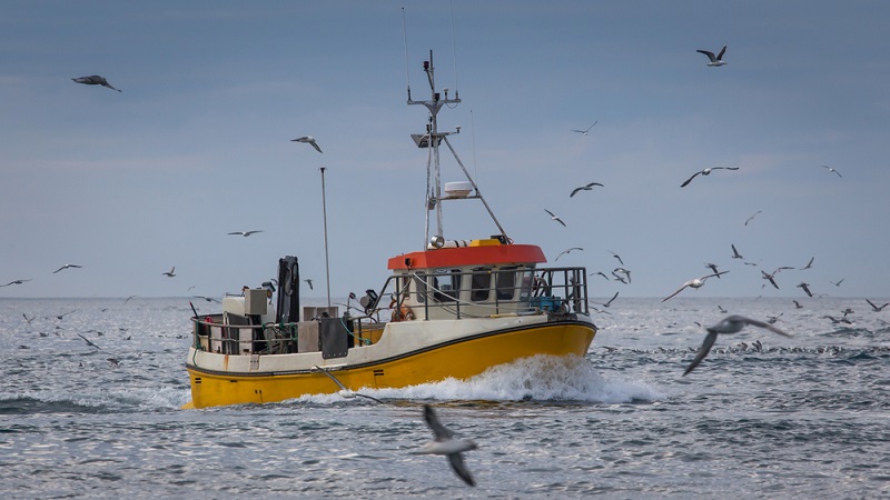 replace federal commercial fishing permit