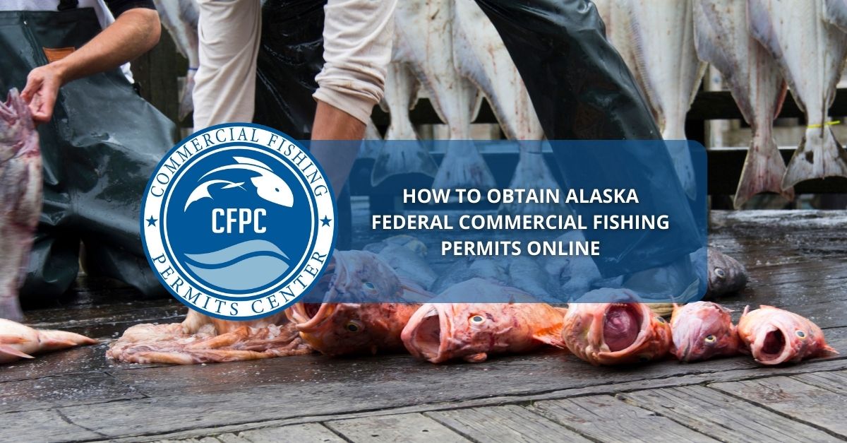 How to Obtain Alaska Federal Commercial Fishing Permits Online