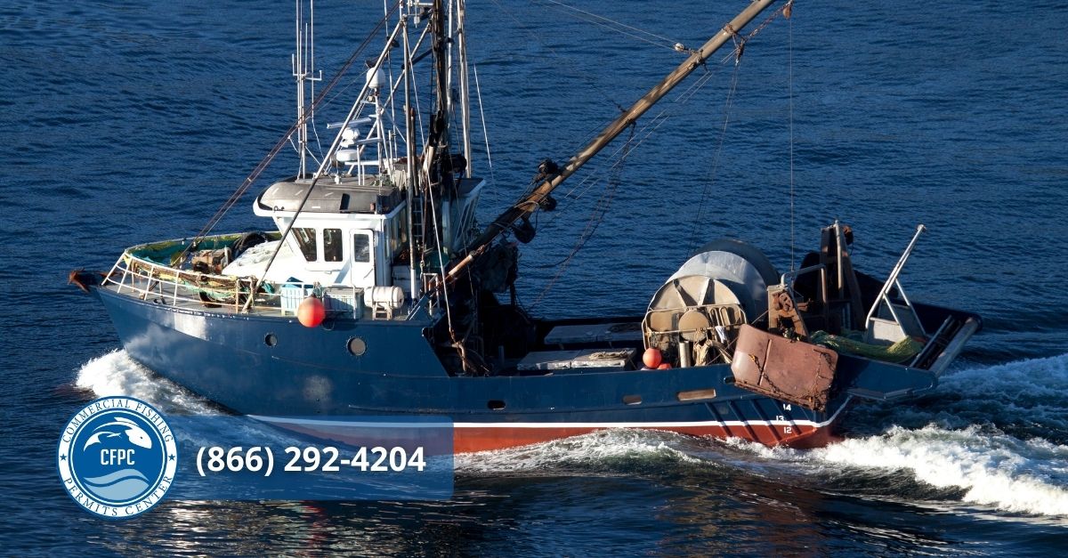 south commercial fishing permits
