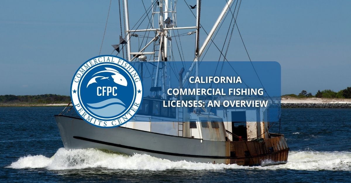California Commercial Fishing Licenses: An Overview