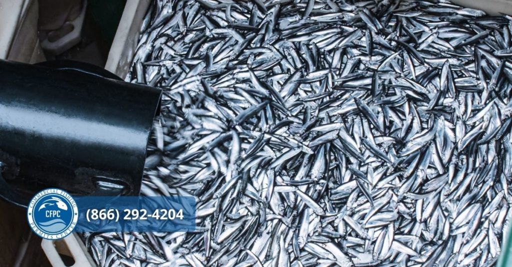 Gulf of Mexico Federal Commercial Fishing Regulations and Other Details