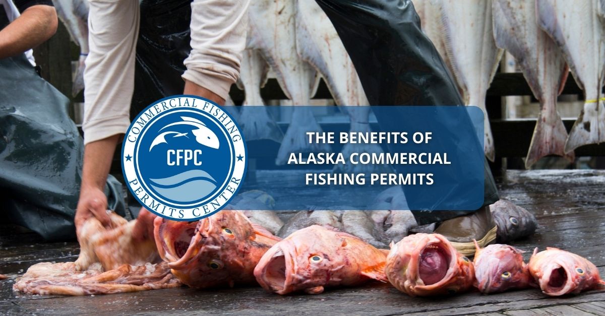 The Benefits of Alaska Commercial Fishing Permits