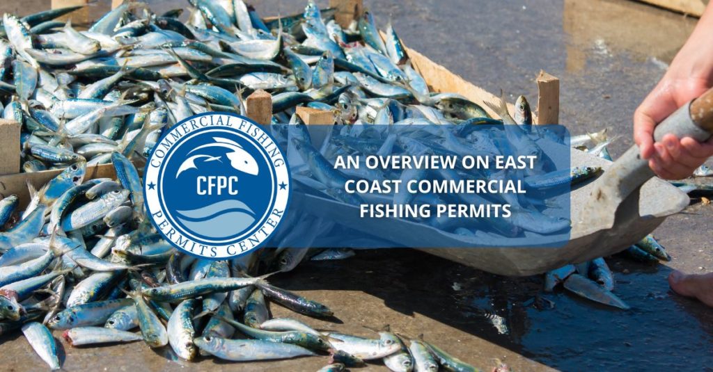 East Coast Commercial Fishing