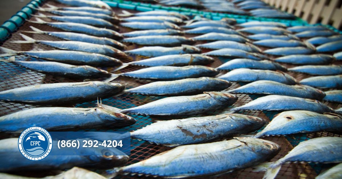 Louisiana Commercial Fishing Permits