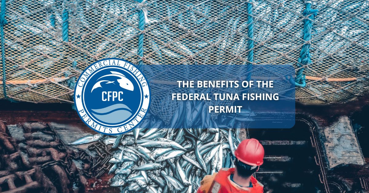 federal-tuna-fishing-permit-benefits-of-the-federal-tuna-fishing-permit