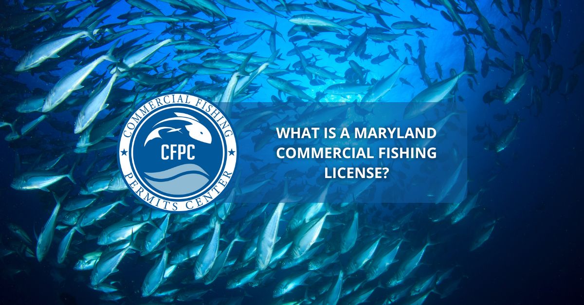 What is a Maryland Commercial Fishing License?