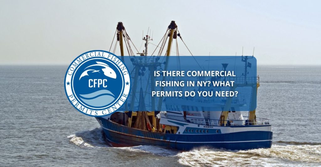 commercial fishing permits ny