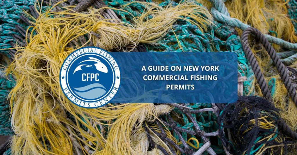 New York Commercial Fishing Permits