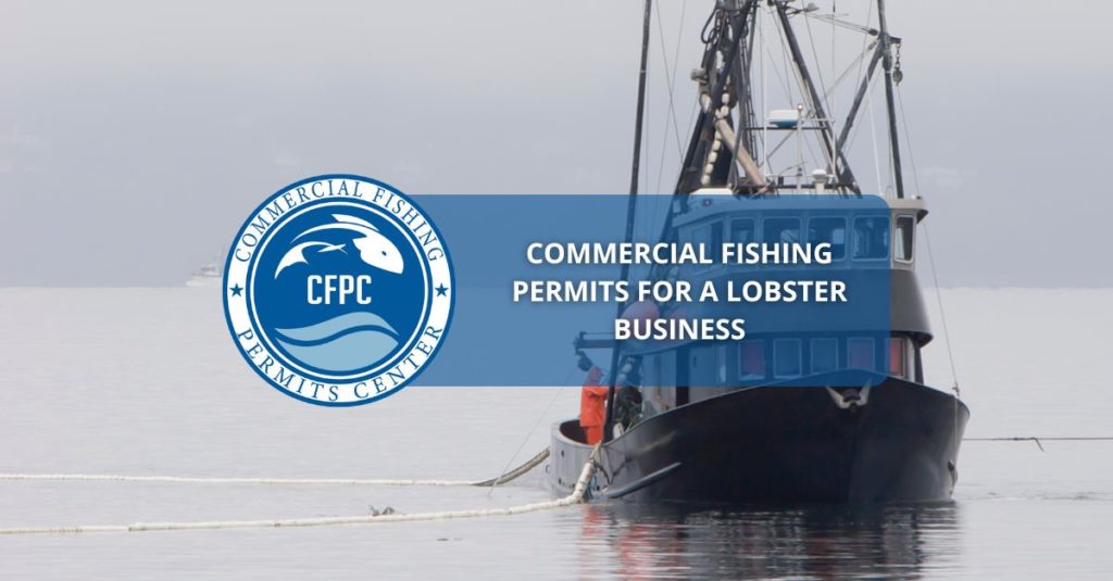 Commercial Fishing Permits for a Lobster
