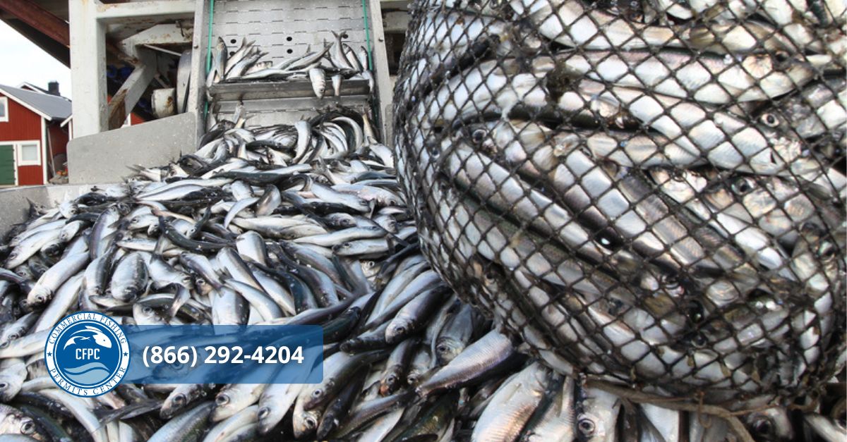 Commercial Fishing Permits Texas
