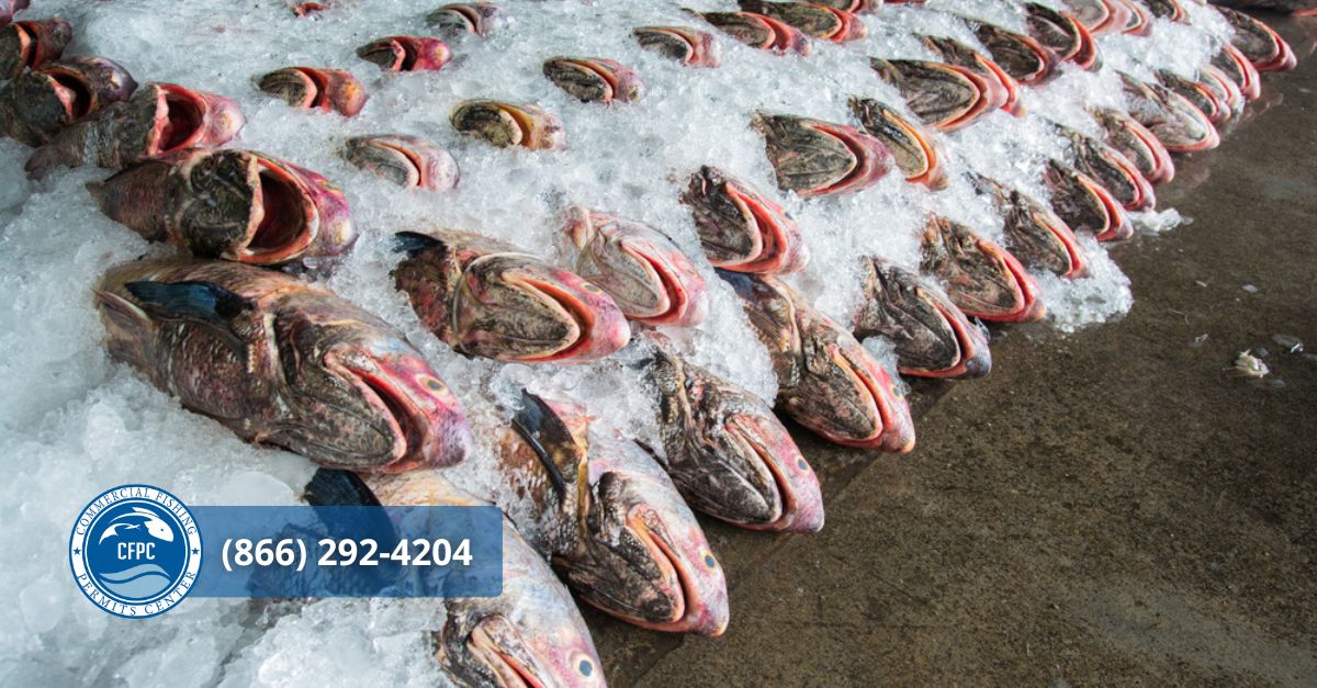 get your maine commercial fishing permits online