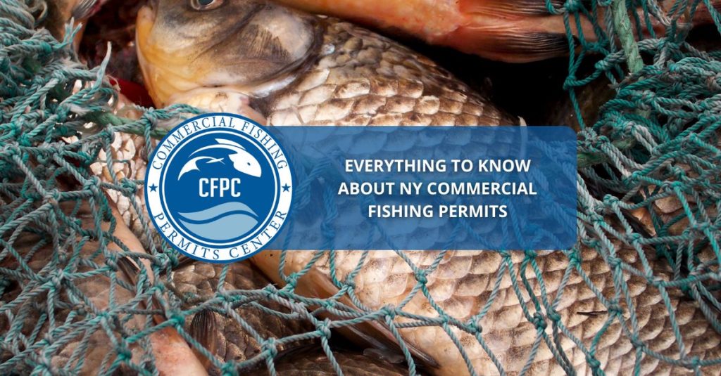 NY Commercial Fishing Permits