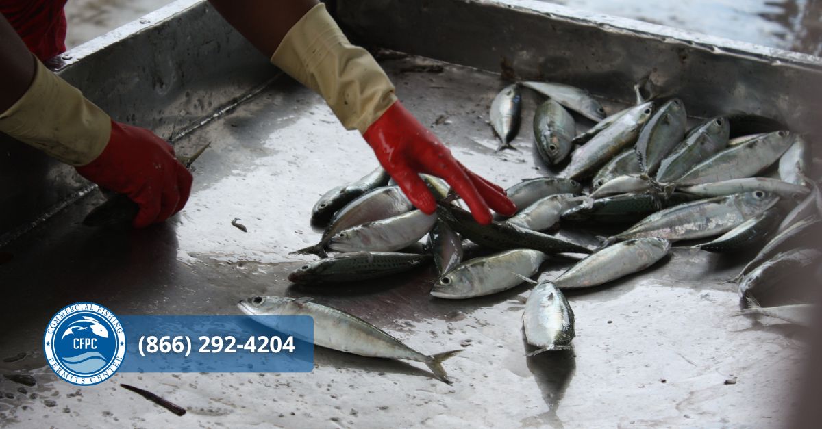 Federal Commercial Fishing Permits