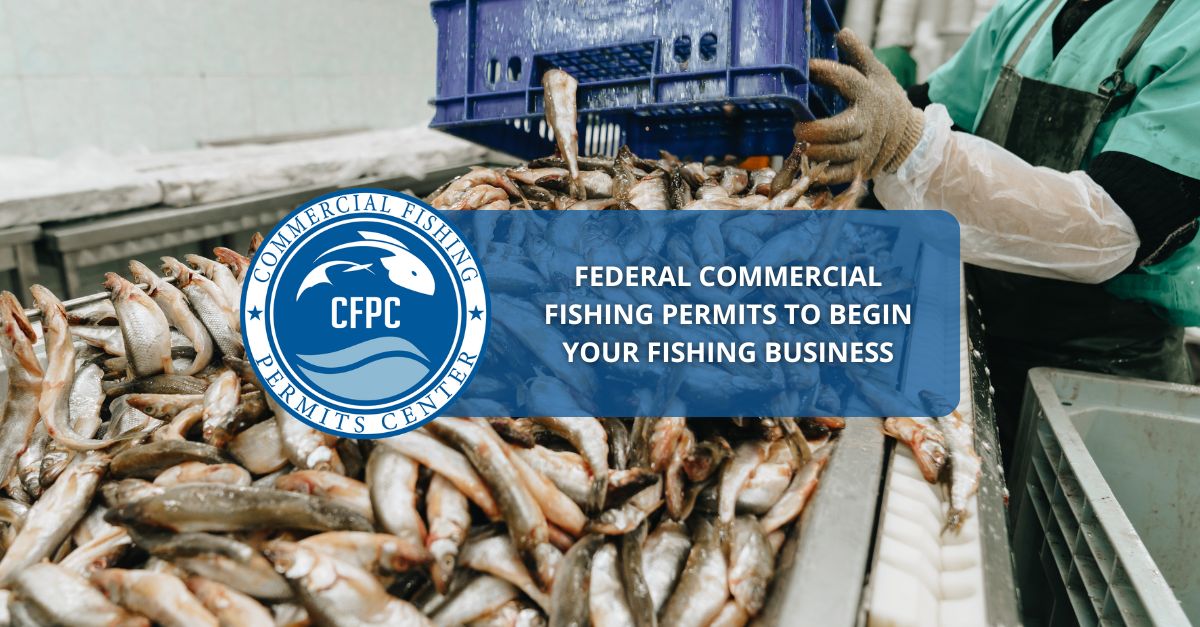 Federal Commercial Fishing Permits To Begin Your Fishing Business 