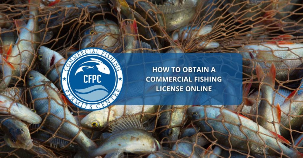 Commercial Fishing License Online