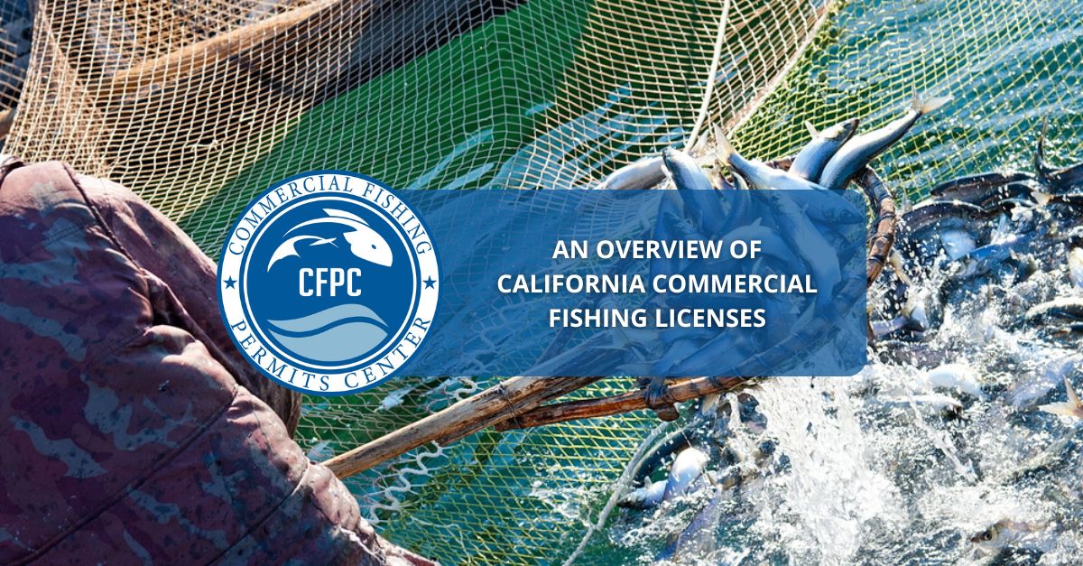 An Overview Of California Commercial Fishing Licenses 