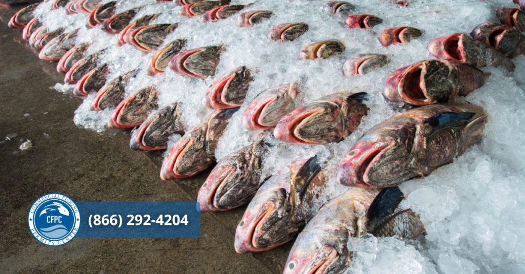 Everything On Federal Fishing Permits and Regulations