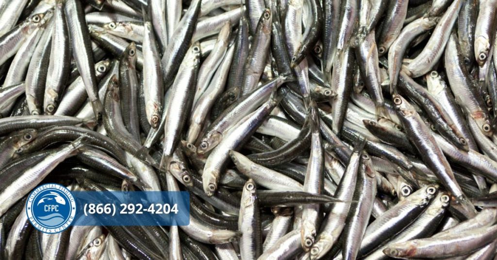 Understanding Vessel Documentation For Commercial Fishing Understanding Vessel Documentation For Commercial Fishing