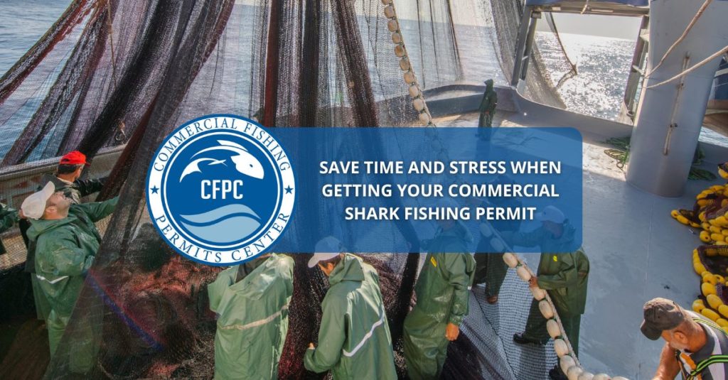 commercial shark fishing permit