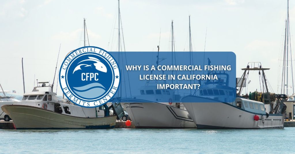 Commercial Fishing License in California
