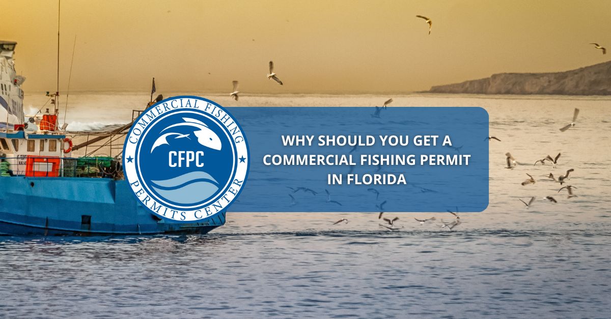  Florida commercial fishing permits 