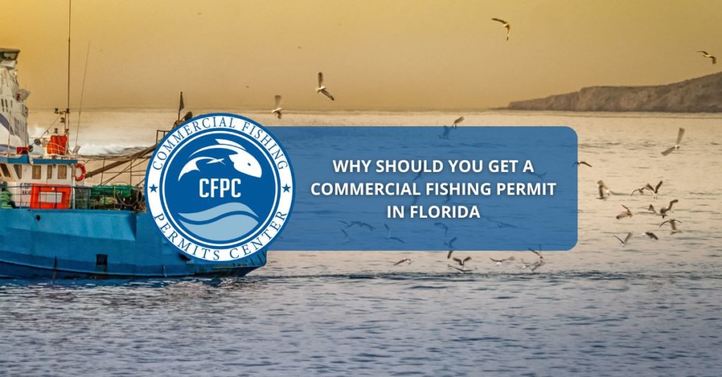 Florida commercial fishing permits