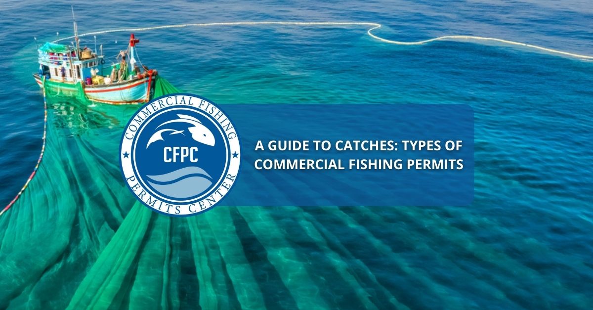 What is commercial fishing, what are the types of commercial