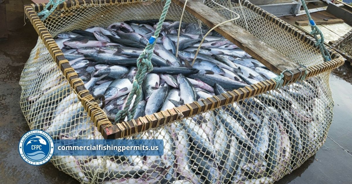 east coast commercial fishing permits