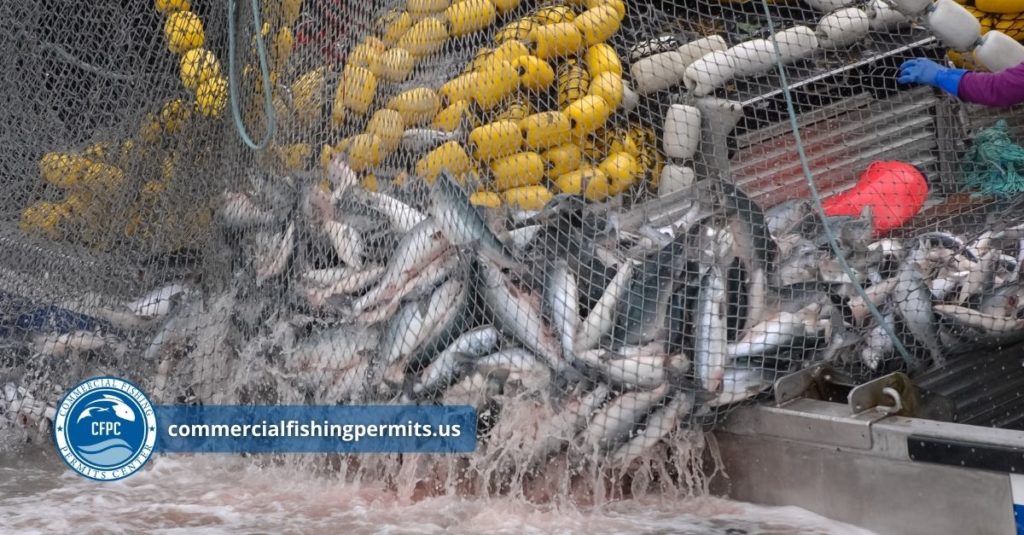 Get Your New York Commercial Fishing Permit With Our Online Secure Portal