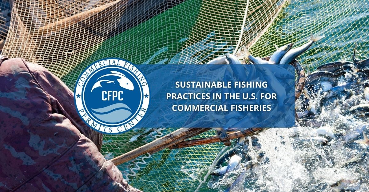 Commercial Fisheries All About Sustainable Fishing Practices