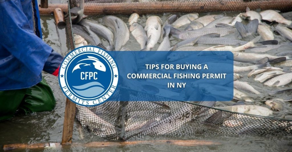 commercial fishing permit