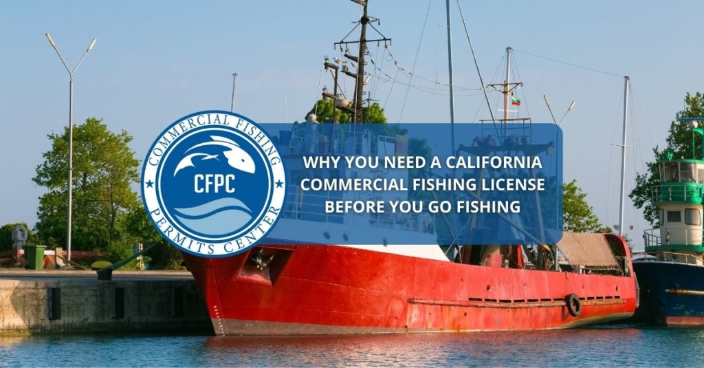 california commercial fishing license