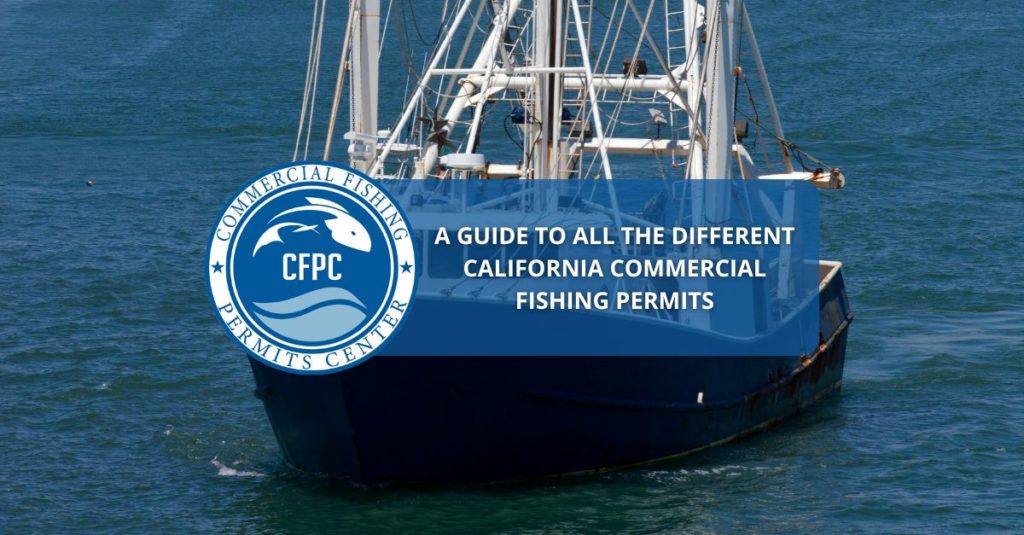 california commercial fishing permits