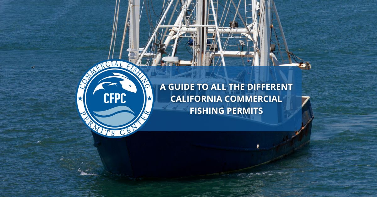 Commercial Fishing Permits Guide To All California Commercial Fishing   A Guide To All The Different California Commercial Fishing Permits 