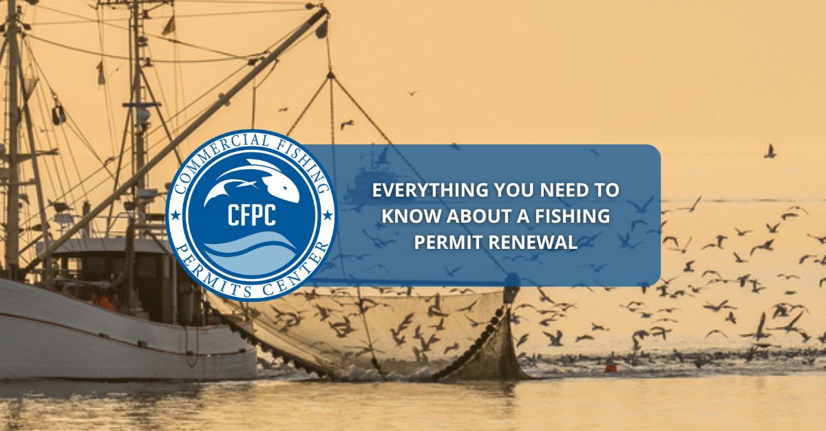 Everything You Need To Know About a Fishing Permit Renewal