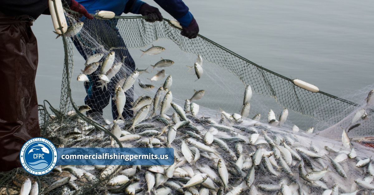 federal permits for commercial fishing