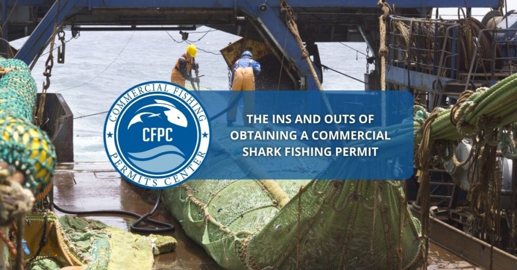 Commercial Shark Fishing Permit