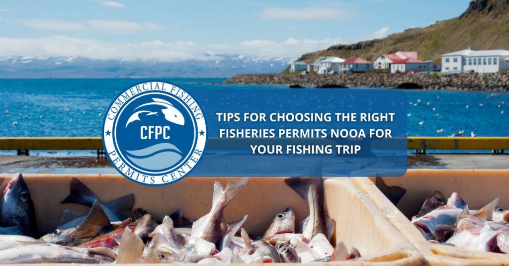 fisheries permits nooa