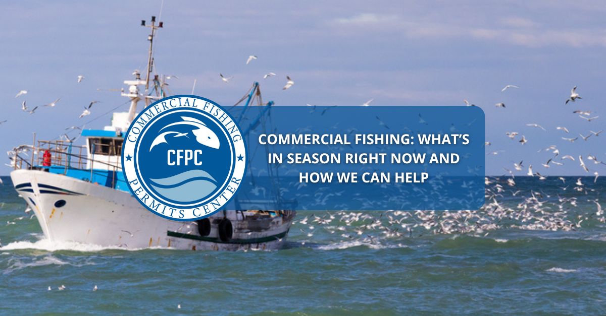 Commercial Fishing: What’s in Season Right Now