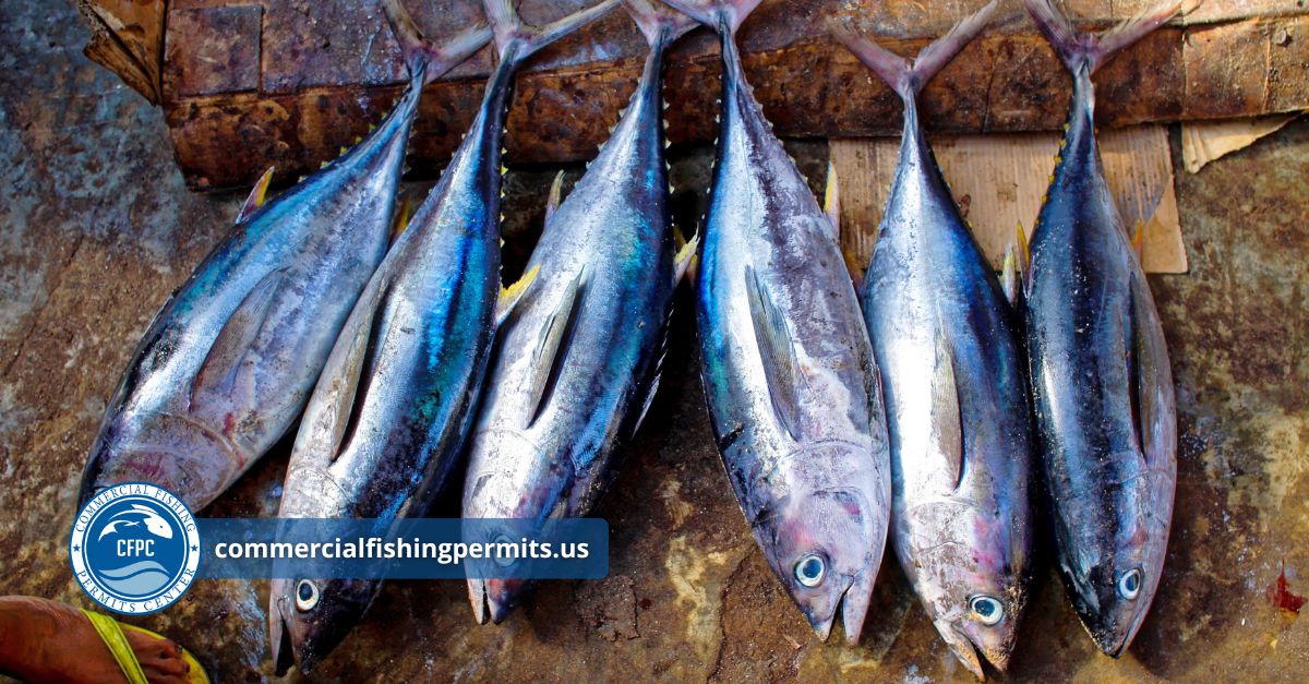 Acquiring Caribbean Commercial Fishing Permits Simply and Easily