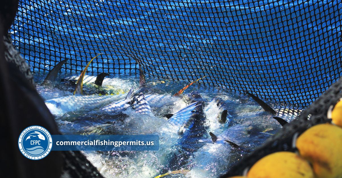 Replace a Federal Commercial Fishing Permit