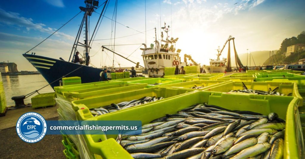 Atlantic Commercial Fishing Permits
