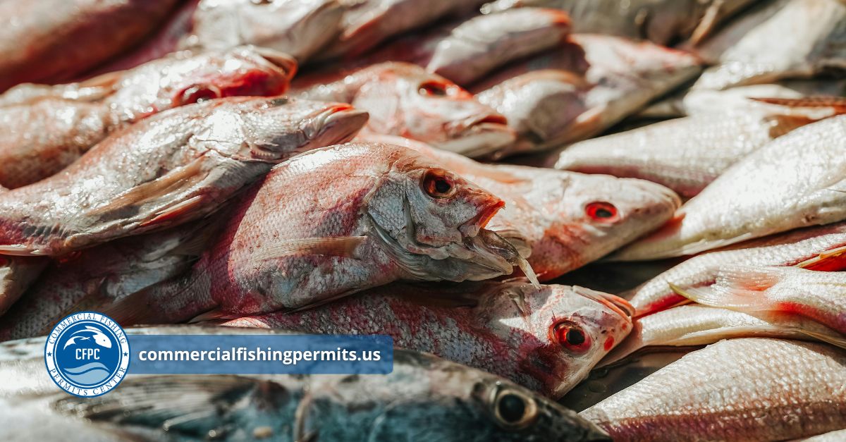 commercial fishing license 